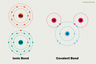 Ionic and Covalent Bonds