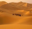 Sahara